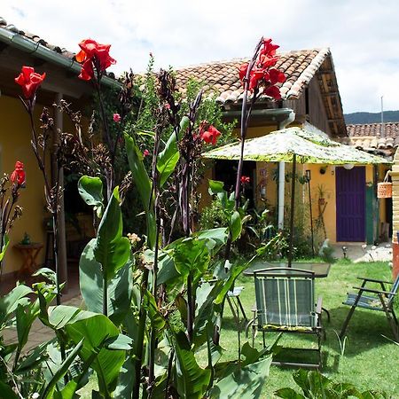 Jaguar You Bed and Breakfast San Cristóbal de Las Casas Eksteriør billede
