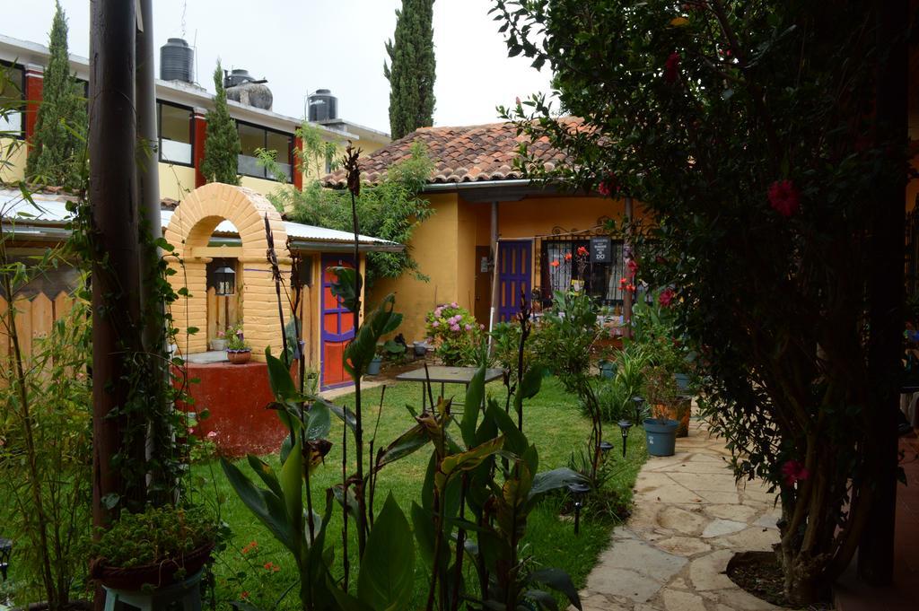 Jaguar You Bed and Breakfast San Cristóbal de Las Casas Eksteriør billede